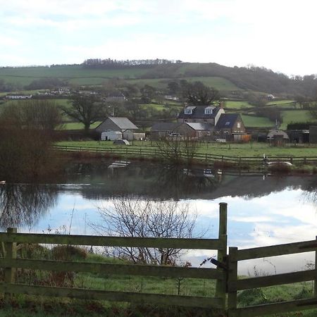 Spillers Farm Bed & Breakfast Axminster Exterior photo