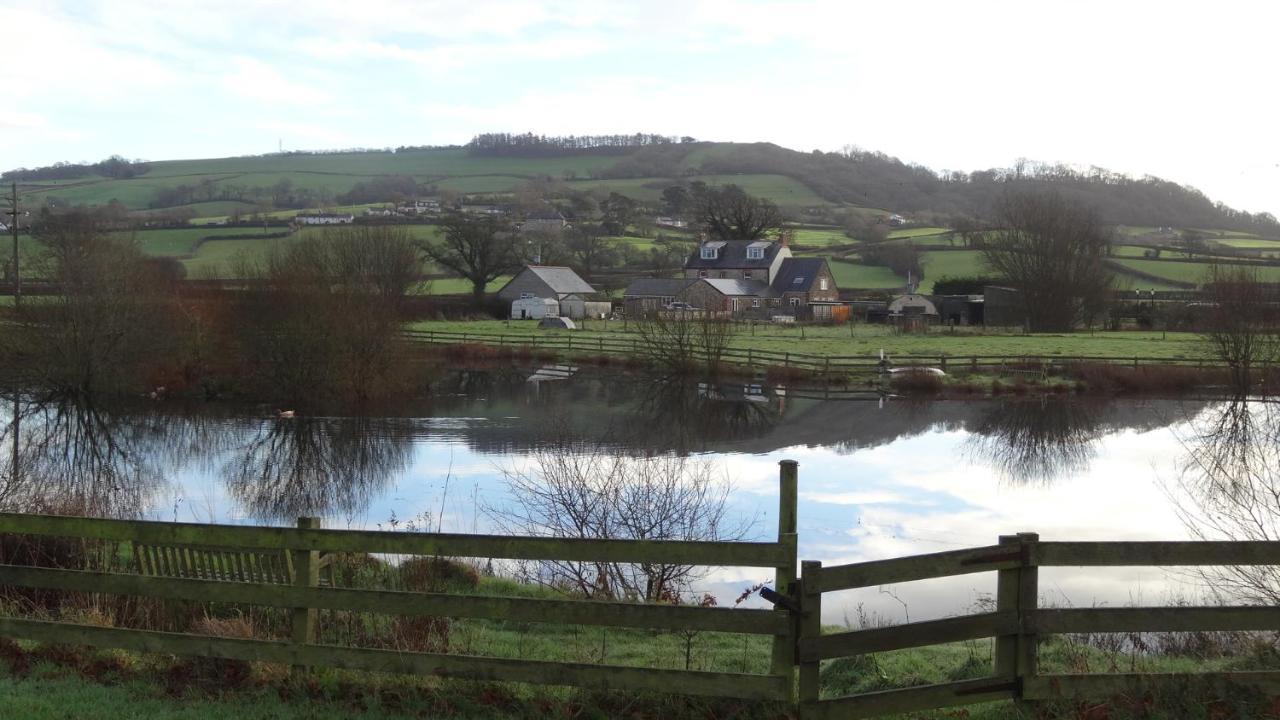 Spillers Farm Bed & Breakfast Axminster Exterior photo